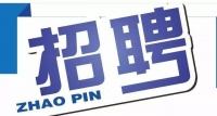 岱岳區(qū)政務(wù)服務(wù)中心招人啦！大專以上學(xué)歷，即日起報名